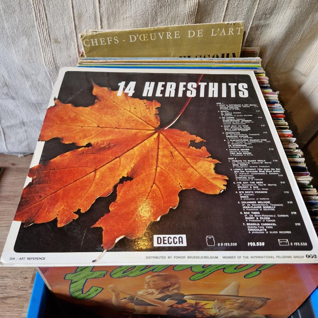 lot disques 33T vinyles caisse 2, CD & DVD, Vinyles | Autres Vinyles, Enlèvement ou Envoi, Utilisé, 12 pouces