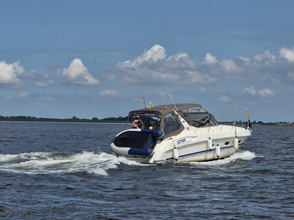 Aqua viva 295, Watersport en Boten, Motorboten en Motorjachten, Ophalen, Gebruikt, Diesel, 9 tot 12 meter