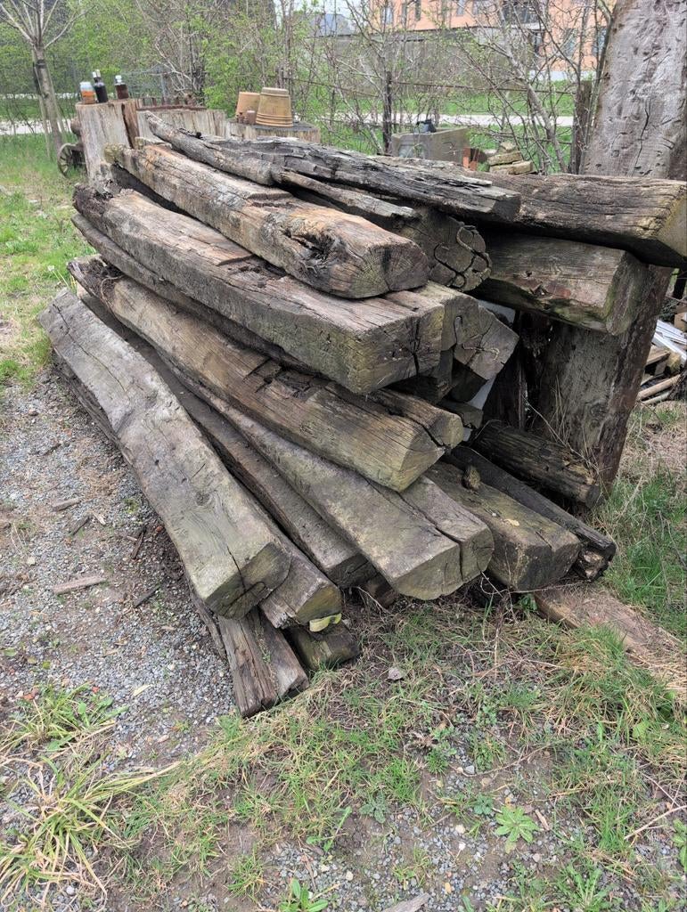 Trein Bilzen  12 stuks, Tuin en Terras, Brandhout, Ophalen