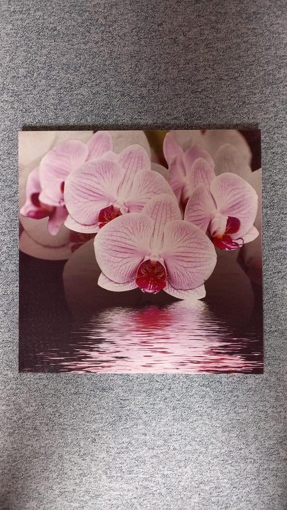 canvasdoek, Enlèvement, Comme neuf, Objet de décoration