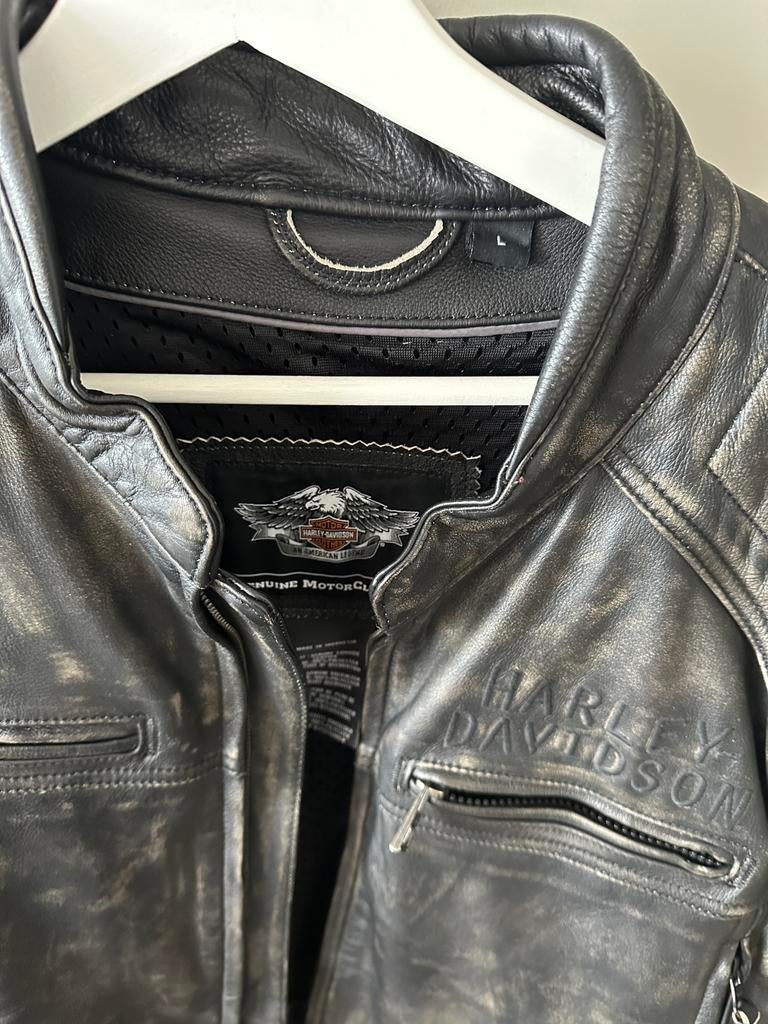 Harley Davidson leren jack, Kleding | Heren, Ophalen, Gedragen