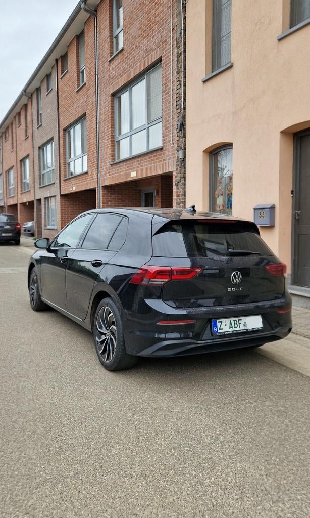 Z plaat / Plaque du Z / Z number plate / Z Kennzeichen, Ophalen