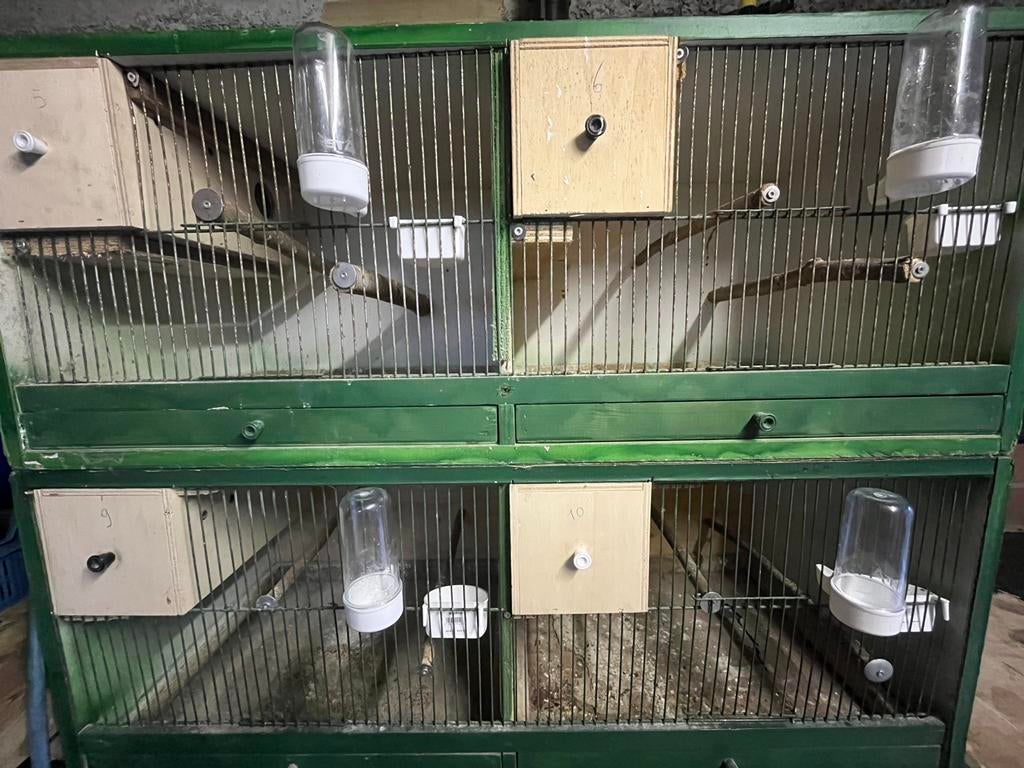 kweekbakken dwergpapegaai, Ophalen, Gebruikt, Hout, Broedkooi of Kweekkooi