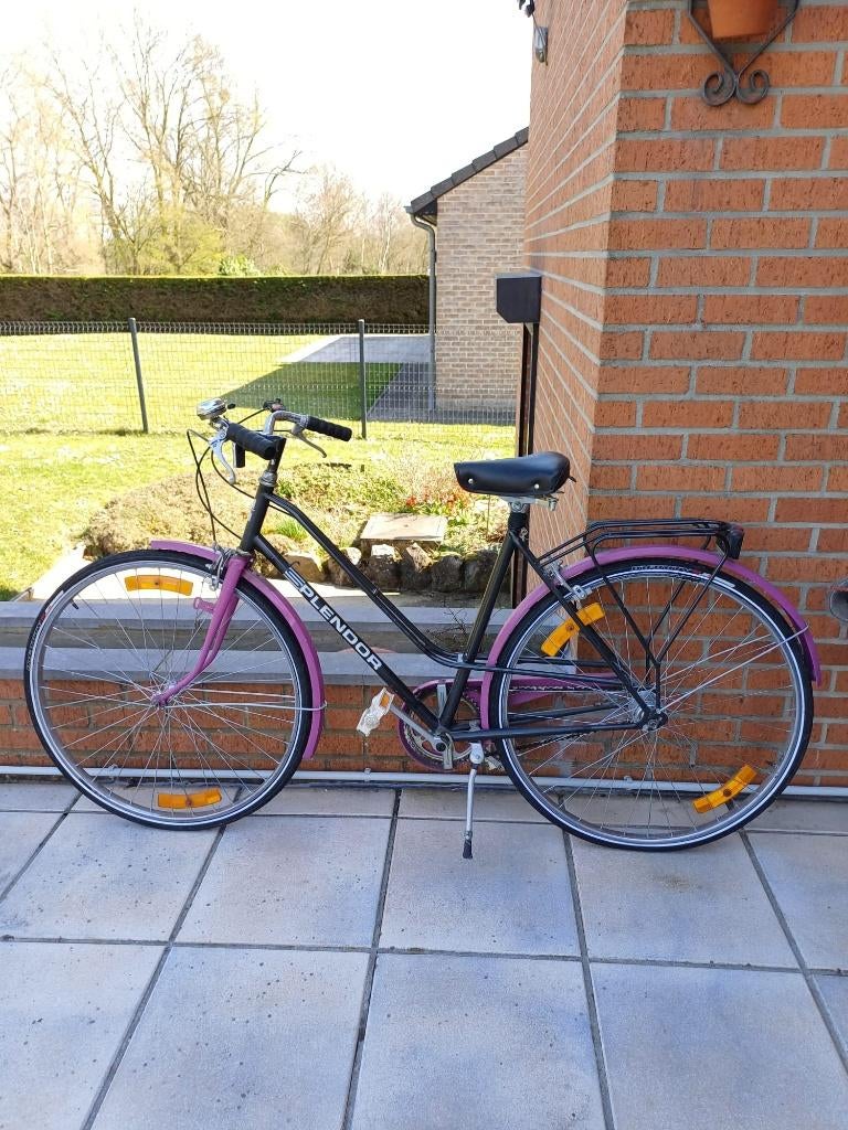 Vélo dame, Enlèvement, Utilisé