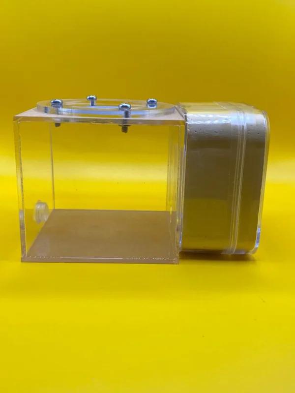 Petit nid en plâtre avec des fourmis du monde extérieur, Animaux & Accessoires, Insectes & Araignées, Fourmis