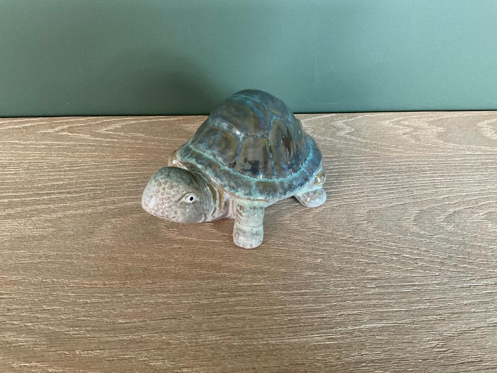 Decoratieve schildpad, Ophalen of Verzenden, Nieuw, Dier