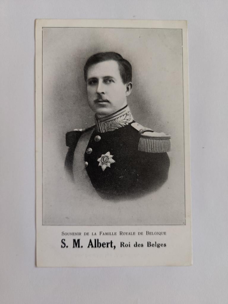 S. M. Albert Roi des Belges, Enlèvement ou Envoi, Utilisé, Carte, Photo ou Gravure