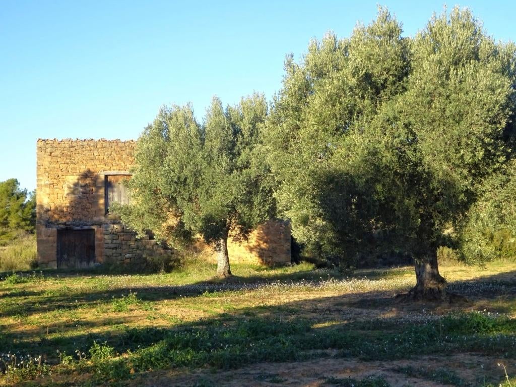 Finca in Maella (Aragon, Espagne) - 1087, Immo, Étranger, Espagne, Maison d'habitation, Campagne