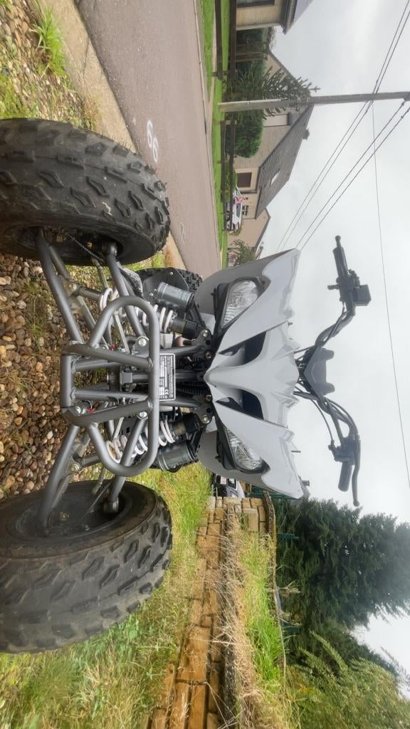 Quad 250 Predator, Motoren, Quads en Trikes, 1 cilinder, Ophalen
