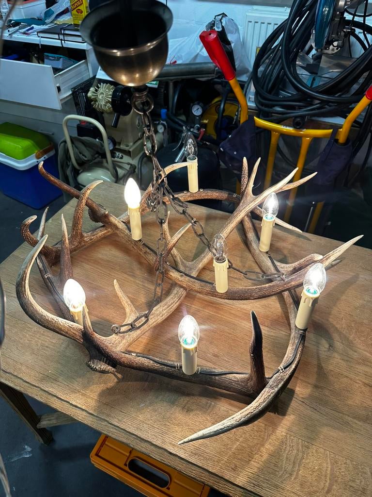 Gewei luster hertengeweien, Enlèvement