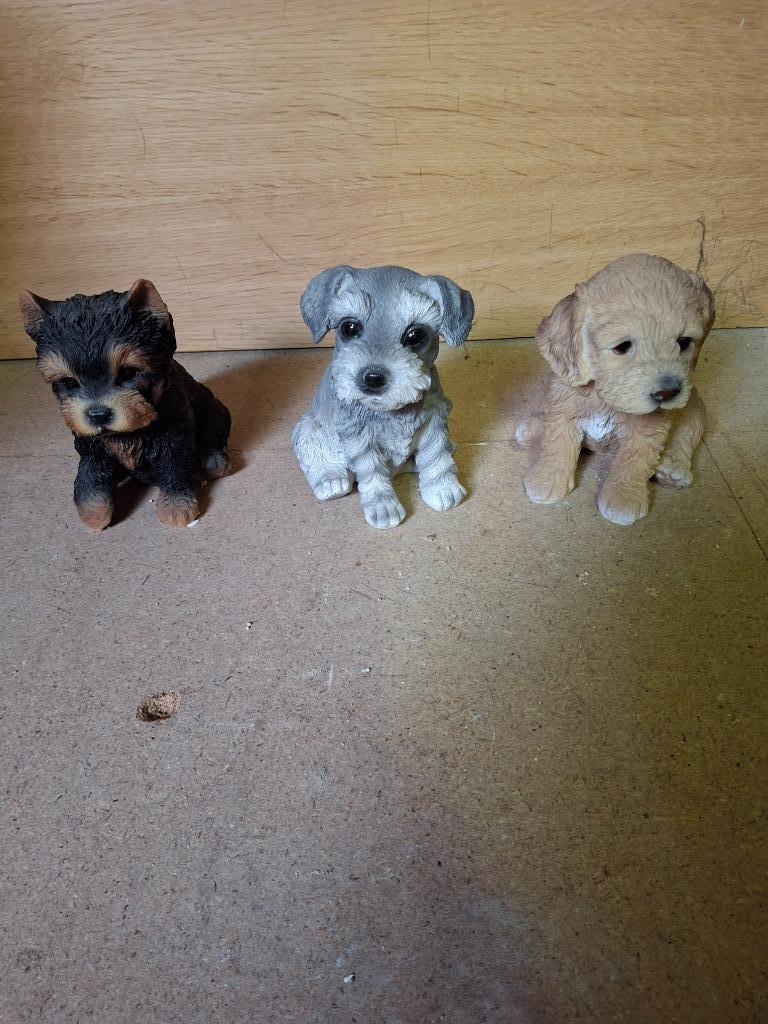 3 postures de chien, Collections, Enlèvement ou Envoi, Comme neuf, Animal