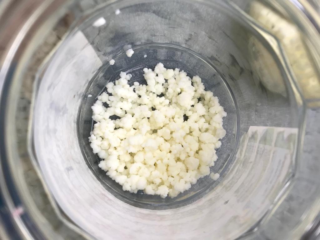 Melk Kefir korrels, Diversen, Levensmiddelen, Ophalen of Verzenden