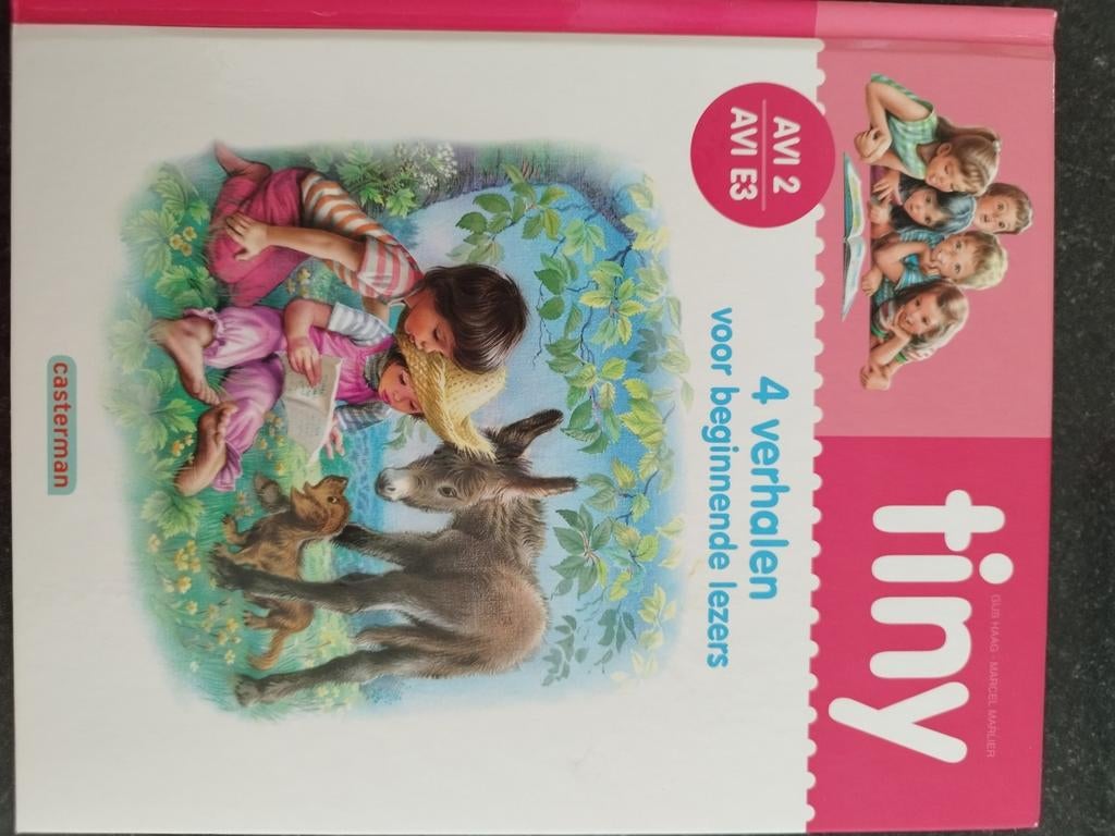 Gijs Haag - AVI 2 - E3, Boeken, Ophalen of Verzenden, Zo goed als nieuw, Gijs Haag