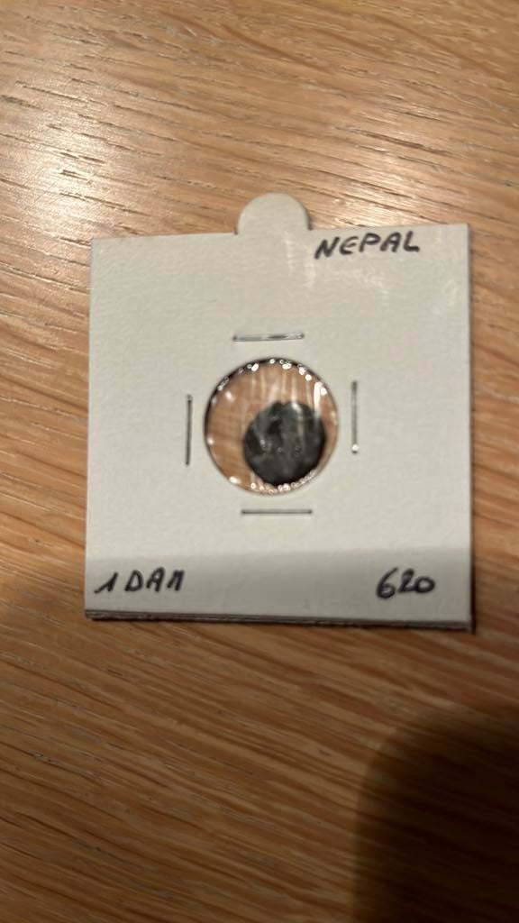 1 middeleeuwse Nepalese Dam munt, Ophalen of Verzenden, Losse munt