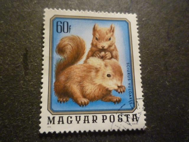 Hongarije/Hongrie 1976 Mi 3099A(o) Gestempeld/Oblitéré, Enlèvement ou Envoi