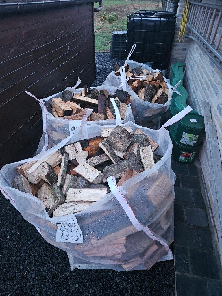 bois de chauffage, 3 à 6 m³, Enlèvement, Frêne, Bûches