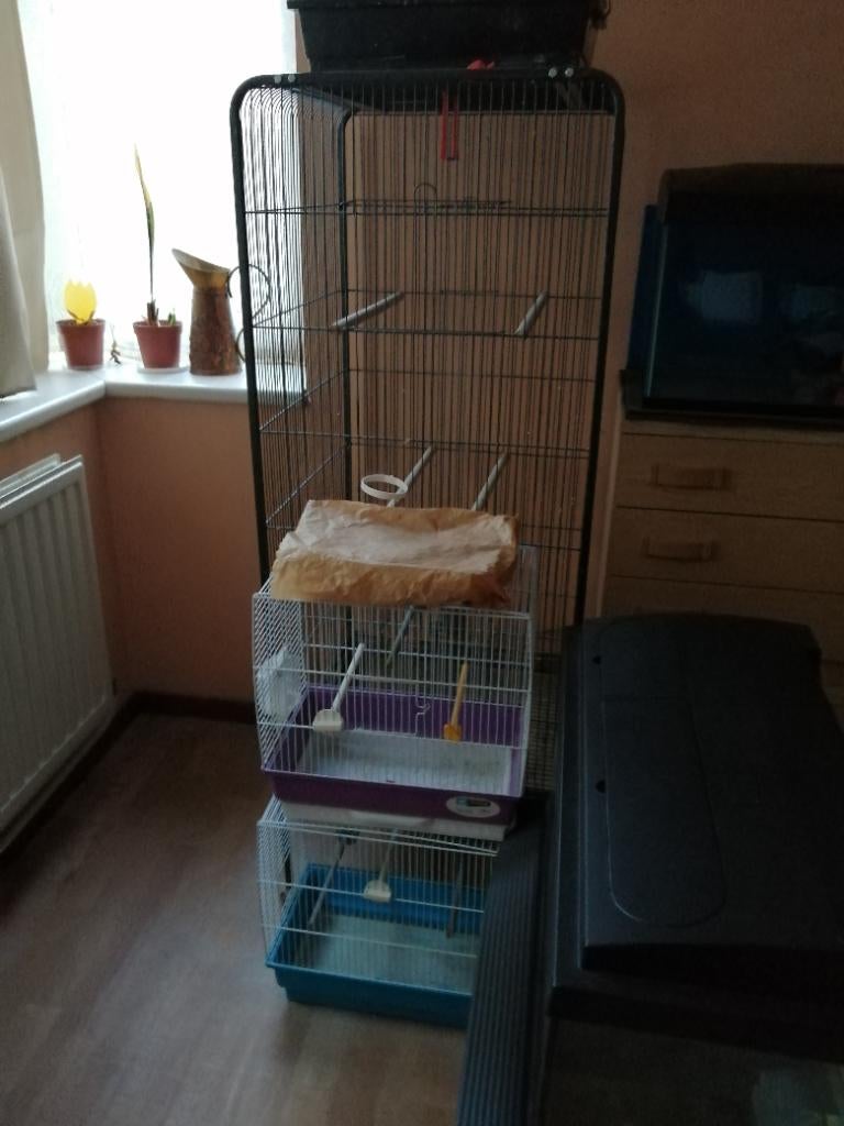 Vogelkooien, Dieren en Toebehoren, Ophalen, Zo goed als nieuw, Kooi-accessoires