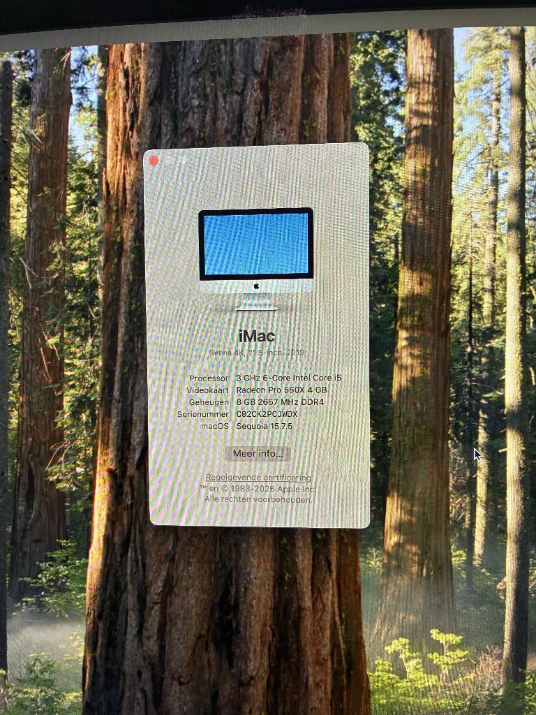 Imac 2019 21,5 inch, Computers en Software, Apple Desktops, Ophalen, Gebruikt, 2 tot 3 Ghz, IMac