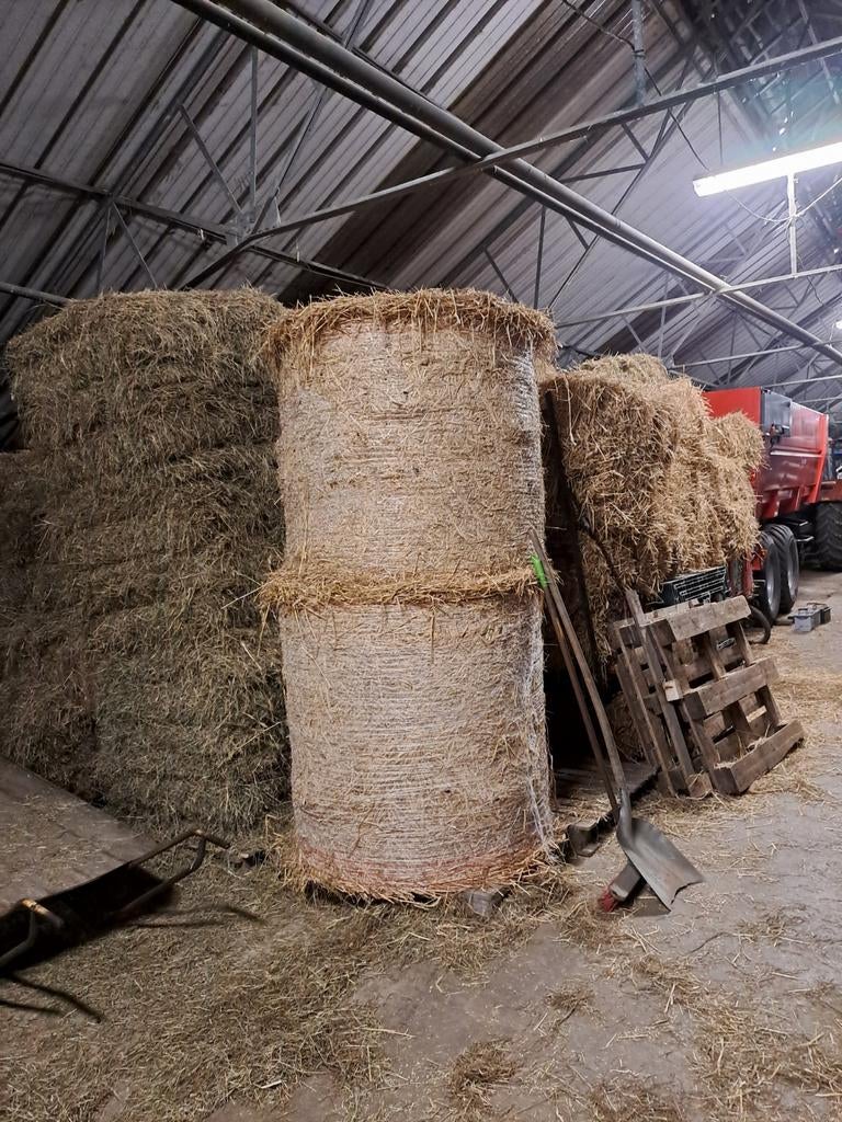 Stro te koop klein en groot + ronde stro en hooi, Enlèvement