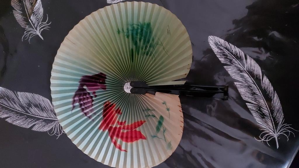 éventail, Maison & Meubles, Enlèvement ou Envoi, Utilisé