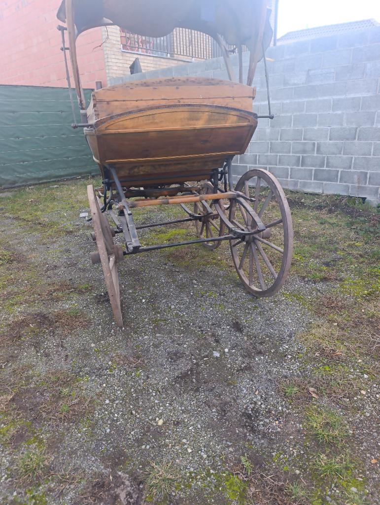 Paardenkoets, Zo goed als nieuw, Overige typen, Paard of Pony