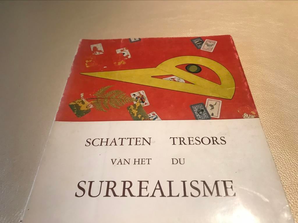 Schatten Surrealisme 100pag Man Ray Duchamp Magritte, Ophalen of Verzenden, Zo goed als nieuw, Schilder- en Tekenkunst