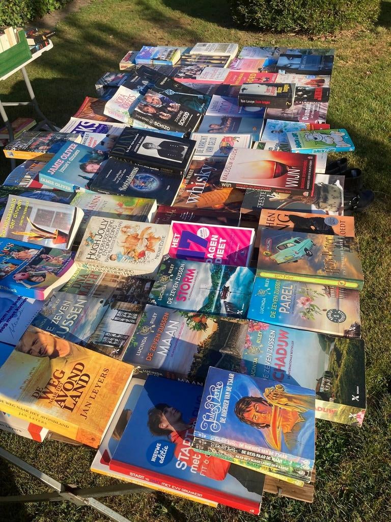 BOEKEN/Allerlei/Garageverkoop, Enlèvement ou Envoi, Comme neuf