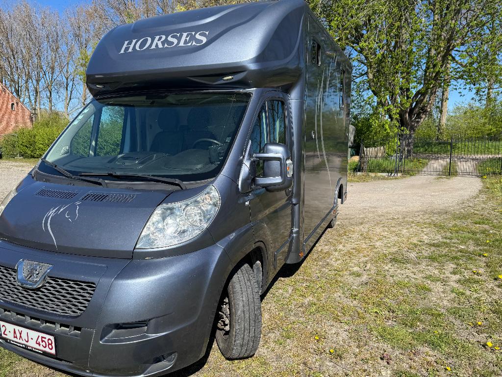 Chariot à chevaux Peugeot Boxer, Enlèvement, Utilisé, Aluminium, Remorque 2 chevaux