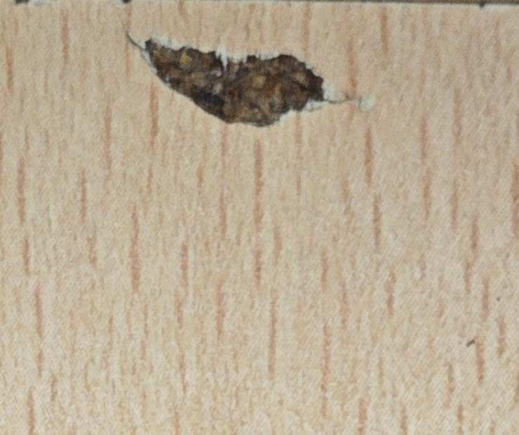 Tafel gratis mee te nemen, Ophalen