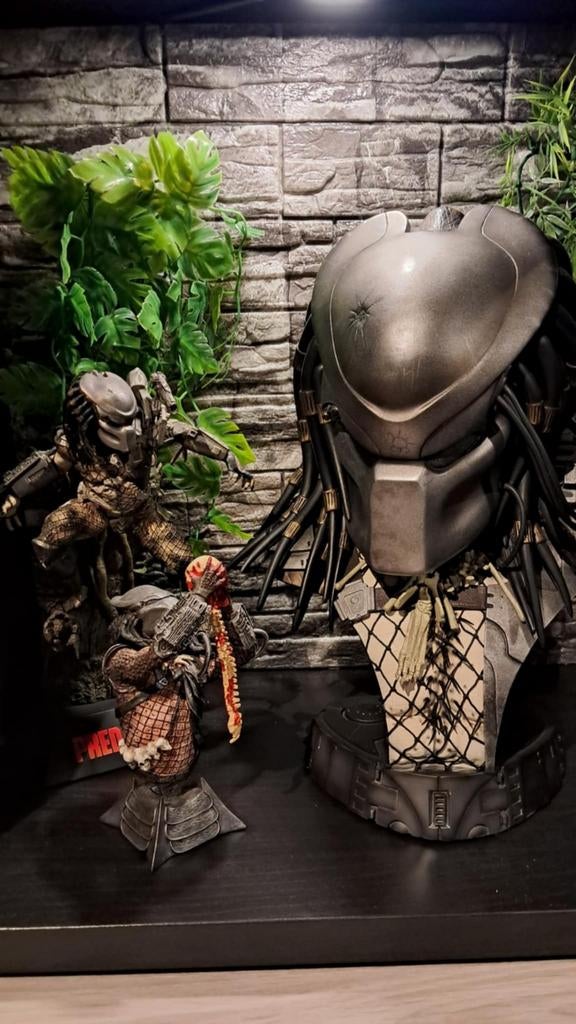 Sideshow predator jungle hunter bust, Ophalen