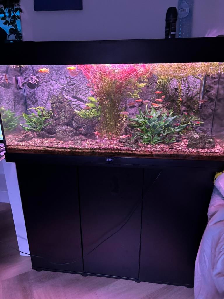 JUWEL Rio 180 aquarium, Ophalen, Verwarming, Zo goed als nieuw, Leeg aquarium