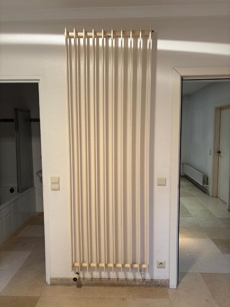 Radiateur, Bricolage & Construction, 800 watts ou plus, Enlèvement, Utilisé, 80 cm ou plus
