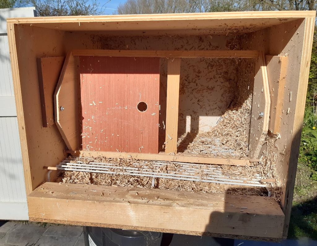 Pigeonnier, Animaux & Accessoires, Oiseaux | Pigeons, Pigeon voyageur, Sexe inconnu