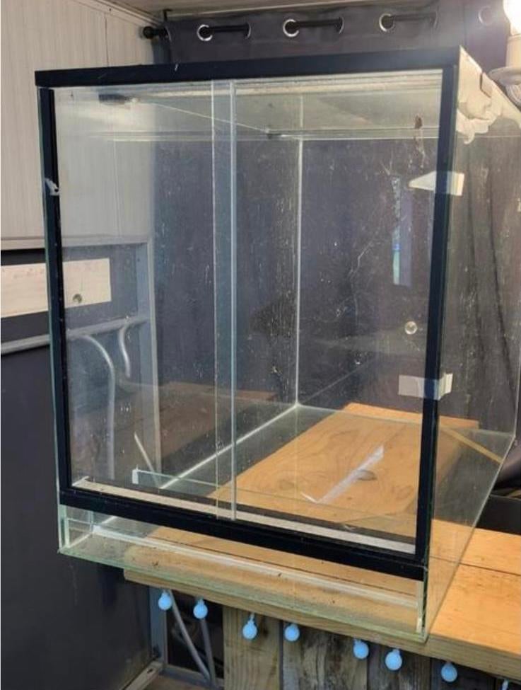 Leeg terrarium met wimpergekko, Dieren en Toebehoren, Ophalen, Zo goed als nieuw