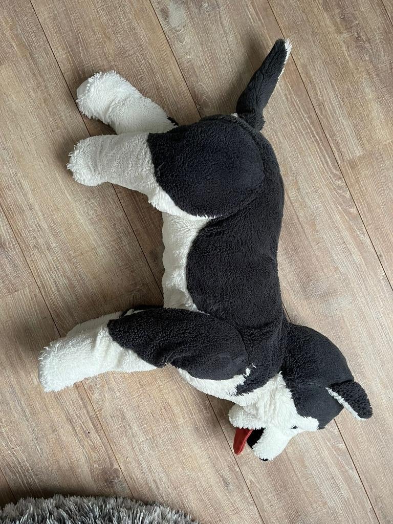Grote hond van IKEA, Ophalen, Hond
