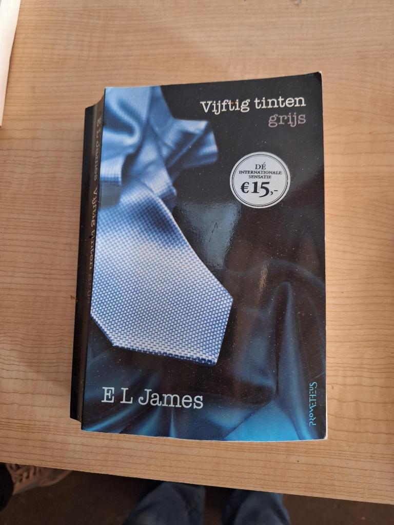 boek vijftig tinten grijs, Boeken, Ophalen of Verzenden, Zo goed als nieuw, Amerika