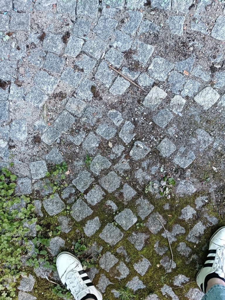 Steen, klinkers, Utilisé, Briques, 10 m²² ou plus, Enlèvement