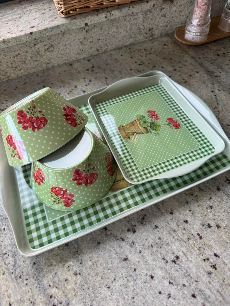 2 schotels + 2 kopjes, Ophalen of Verzenden, Zo goed als nieuw