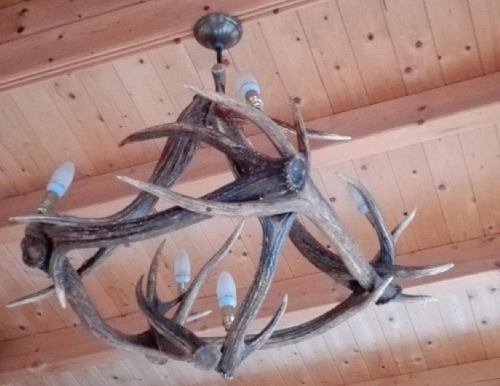 Lustre en bois de cerf, 75 cm ou plus, Bois, Comme neuf, Enlèvement