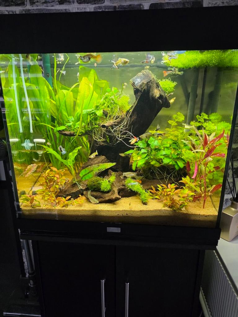 Aquarium Juwel rio 120 60x40x130(lxbxh), Enlèvement