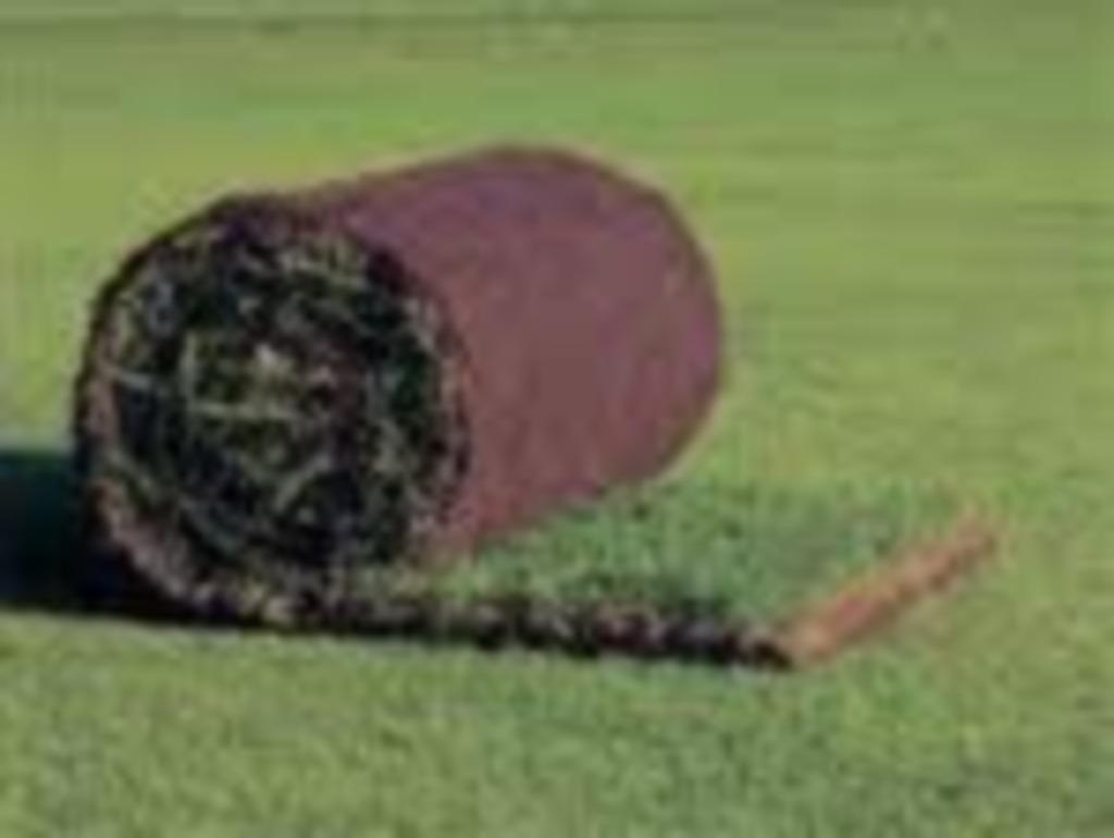 grasmatten graszoden grasrollen, Tuin en Terras, Ophalen of Verzenden, Nieuw, Gras