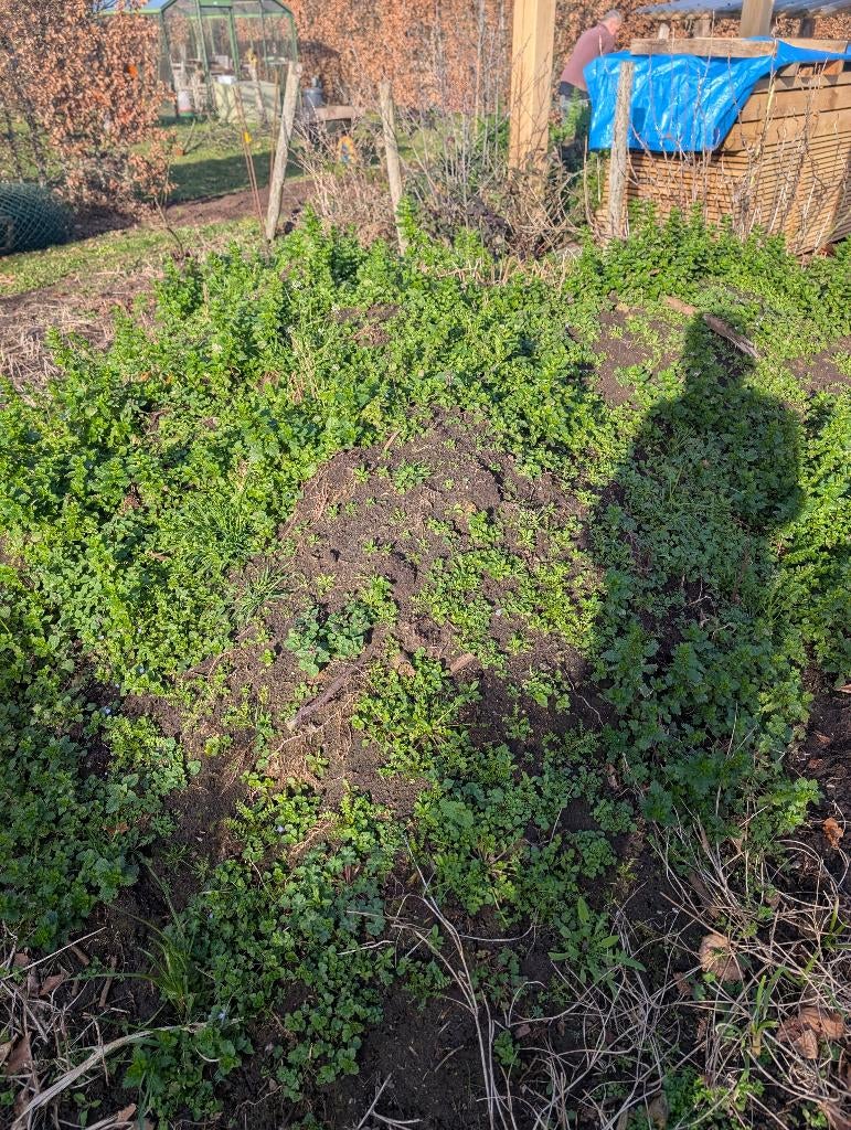 gratis teelaarde, Tuin en Terras, Aarde en Mest, Ophalen