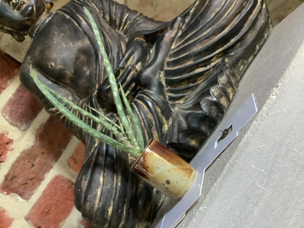 Bouture aloe Vera dans petit pot poterie, Envoi