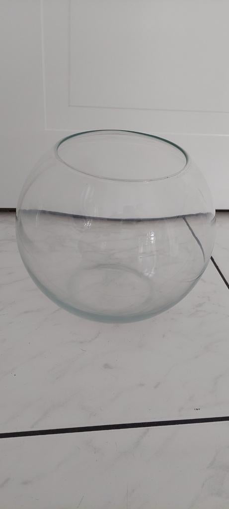 Glazen vaaspot in aquariumstijl met een diameter van 25 cm., Ophalen, Zo goed als nieuw, Glas