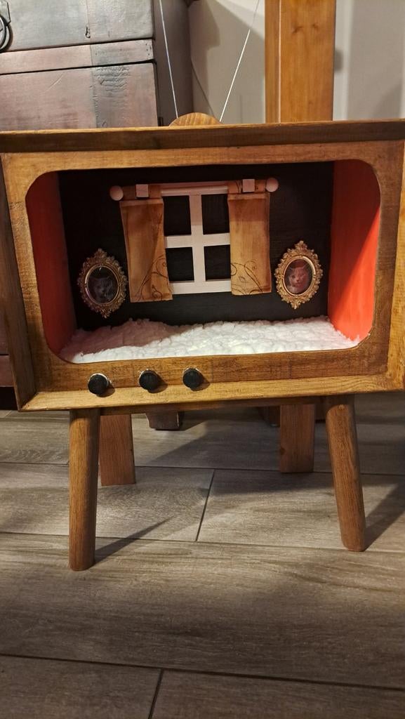 Maison pour chats, Enlèvement