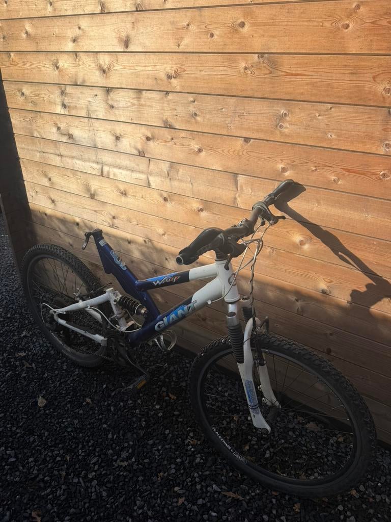 Gaint mtb zonder zadel, Fietsen en Brommers, Fietsaccessoires | Aanhangwagens en Karren, Ophalen, Zo goed als nieuw