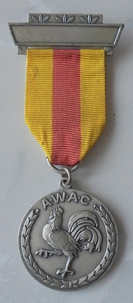 Médaille AWAC (Association Wallonne des Anciens Combattants), Collections, Enlèvement ou Envoi, Armée de terre, Ruban, Médaille ou Ailes