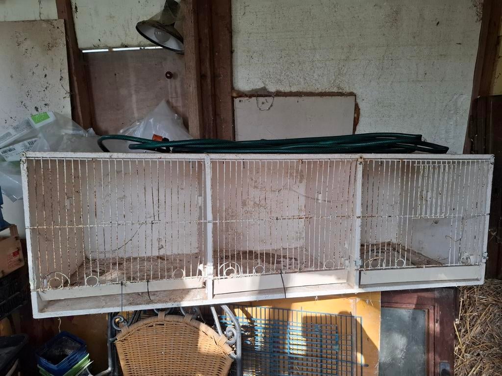 Vogelkooi, Dieren en Toebehoren, Ophalen, Vogelkooi