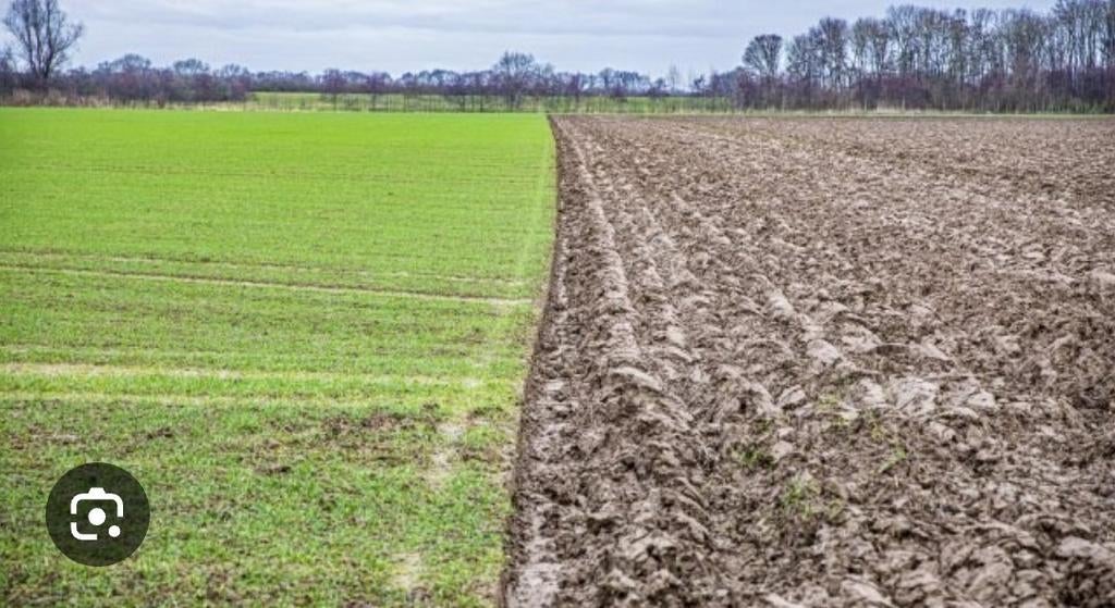 Gezocht landbouwgrond, Articles professionnels, Enlèvement ou Envoi