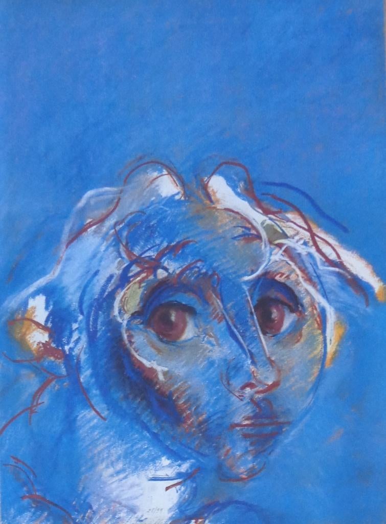 ROGER SOMVILLE / HOOFD / KLEURZEEFDRUK / 76x56cm / SIG, Antiquités & Art, Enlèvement ou Envoi